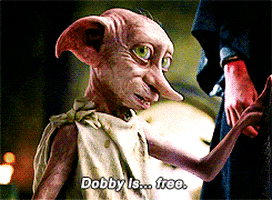 Dobby Is Free GIFs - Get the best GIF on GIPHY