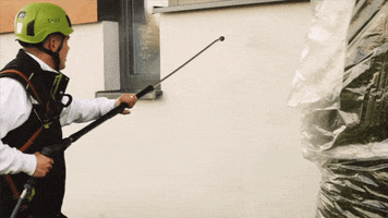 TAFF by WANDWERK GIF