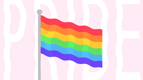 rainbow flag gay pride lgbtq