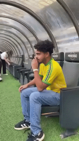 Brazil Manager GIF