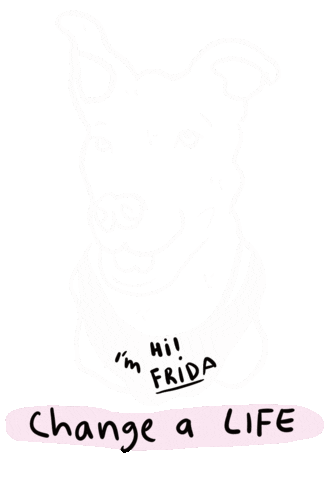 Frida Foundation Sticker