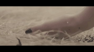 badlands thunderpussy GIF by Republic Records