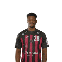 Handball Almeida Sticker by US Ivry