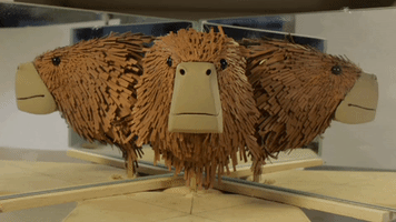 Animated GIF