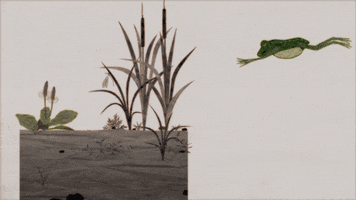 weed frog GIF by Dino Sato