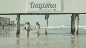 Daytona Beach Summer GIF