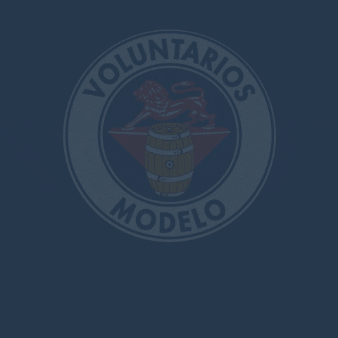 expok voluntariado rse responsabilidad social voluntariado modelo GIF