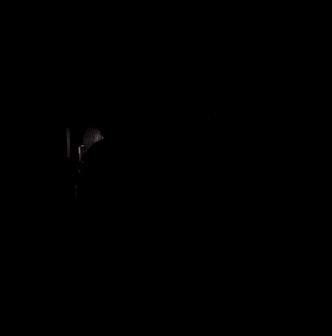 scaturkey force star wars GIF