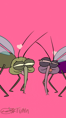 Which insect do you hate the most