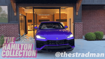 Urus GIF by TheHamiltonCollection