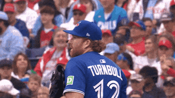 Blue Jays Baseball GIF by Toronto Blue Jays