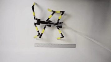 robot robotics GIF by Harvard University