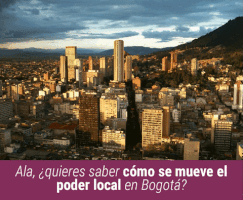 danieladimartino  GIF