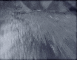 nuclear blast recordings GIF by Machine Head
