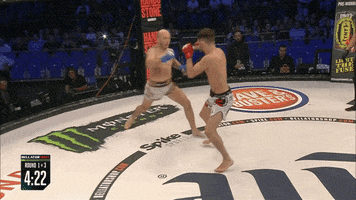 fail knock out GIF by Bellator