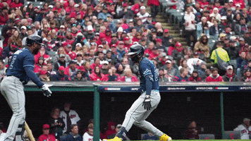 Tampa Bay Rays Baseball GIF by MLB