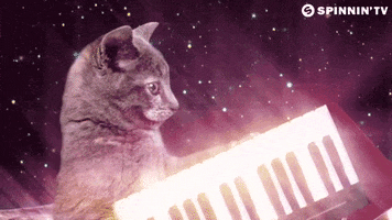 cat space GIF by Spinnin' Records