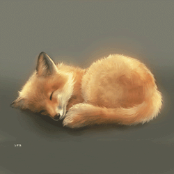 phamhuudu  GIF