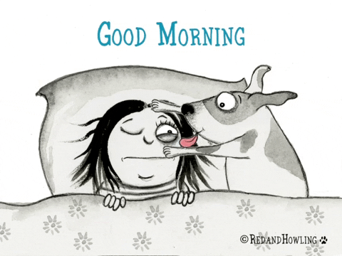 tired good morning GIF by Red  Howling