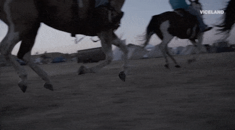 dakota access pipeline