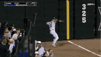 College Baseball GIF by UCF Knights