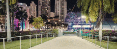 downtown miami GIF by Ultra Music Festival