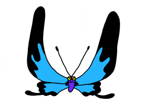 Butterfly Alphabet GIF