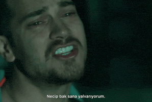 Cagatay Ulusoy GIF