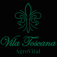 Shqiperi Tirane GIF by Vila Toscana