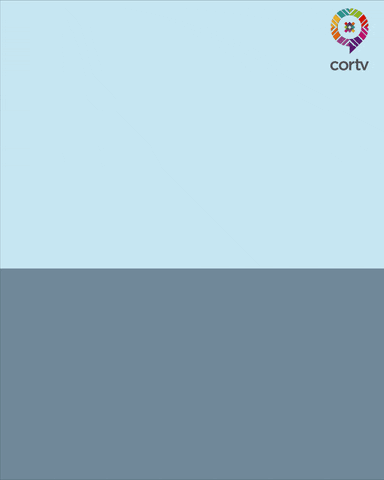 CORTV GIF