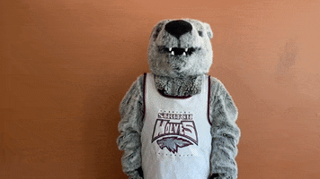 Wolf Pack Oh Snap GIF by Cardinal Stritch University