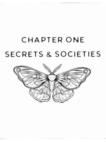 GIF by Devoured_pages