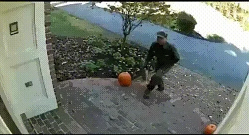 delivery GIF