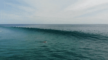 Surfing GIF