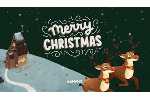 Merry Christmas GIF by RENPHO