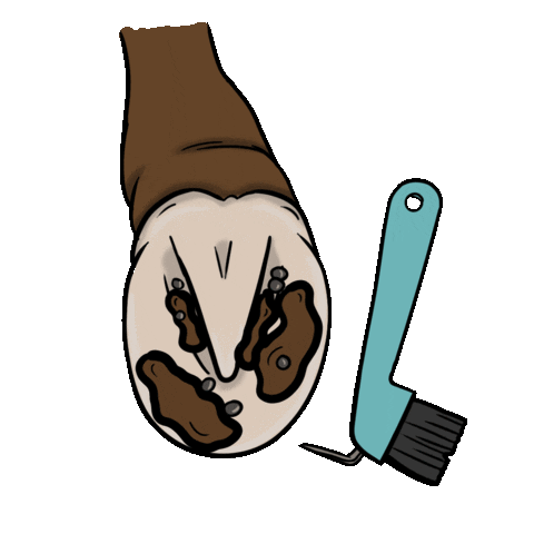 Huf Grooming Sticker by Ponyfarben