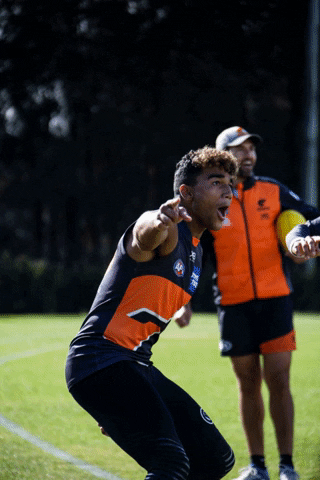 callum brown afl GIF by GIANTS