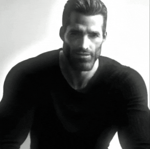 [Obrazek: giphy.gif?cid=790b7611liqdsa39md2hhp40rm...y.gif&ct=g]