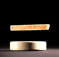 hungry french fries GIF by Woodblock