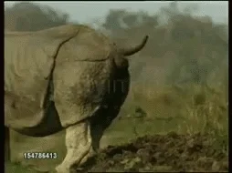 giphy.webp?cid=ecf05e4773442c2b07e80bce6