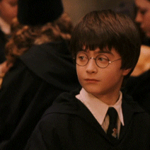 Harry Potter No GIF - Find & Share on GIPHY
