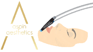 Aspin Aesthetics Sticker