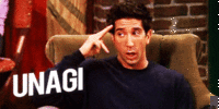 Friends Tv Ross Gellar GIF - Find & Share on GIPHY