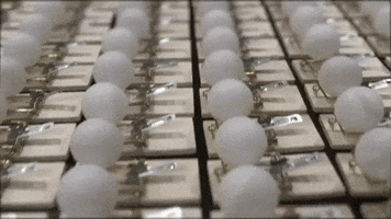 Ping Pong Balls Mouse Traps GIF