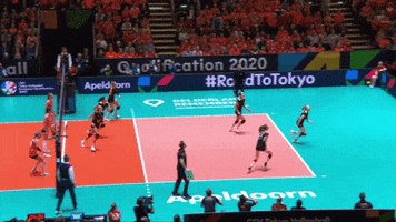 200.gif?cid=fc005b08afc169fc103a23383e4f768d0e237b5163c7cf97&rid=200.gif&ct=g