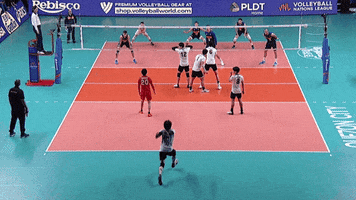 Go For It Wow GIF by Volleyball World