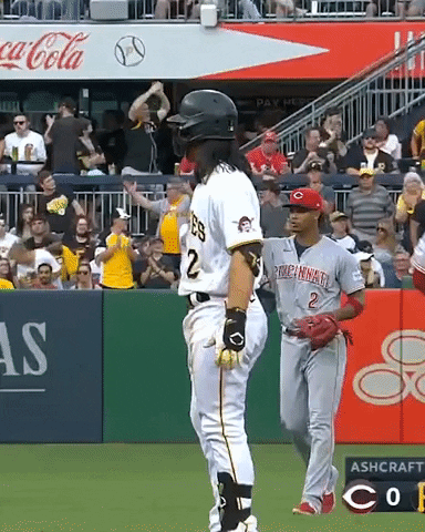 Lets Go Sport GIF by Pittsburgh Pirates