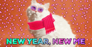 New Year Cat GIF by chuber channel
