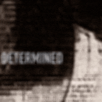 200.gif?cid=fc005b08de4eb6bbd36c68fb646cba71ac35efe68097e8db&rid=200.gif&ct=g