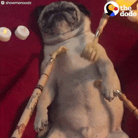 Dog-scratching GIFs - Get the best GIF on GIPHY